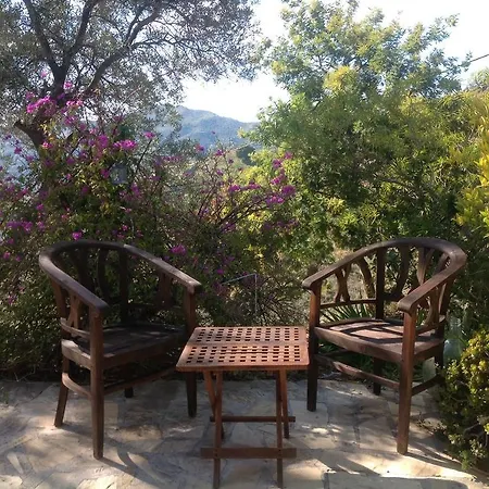 Casa Casuarina Bed & Breakfast Almunecar